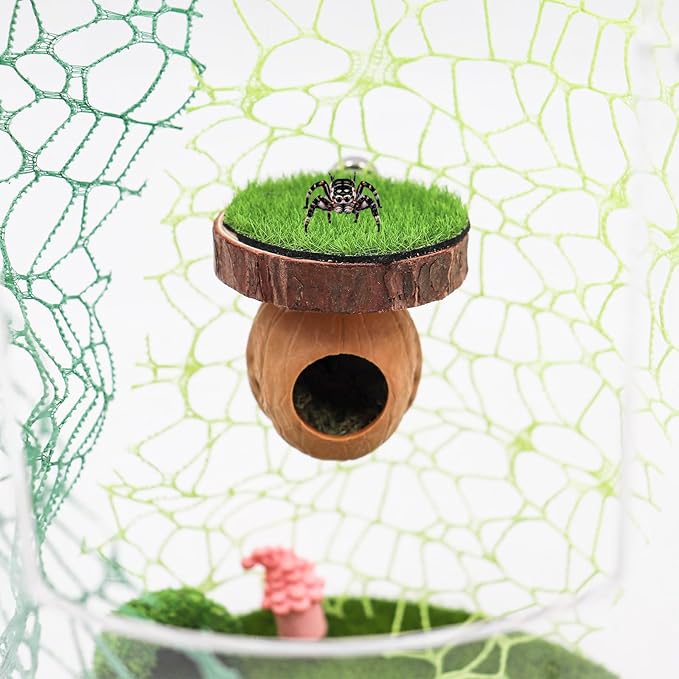 2 Pack Jumping Spider Enclosure Accessories, Magnetic Walnut Hide with Wooden Platform, Plastic Grass Topper, Spider Hideout with Moss for Terrariums