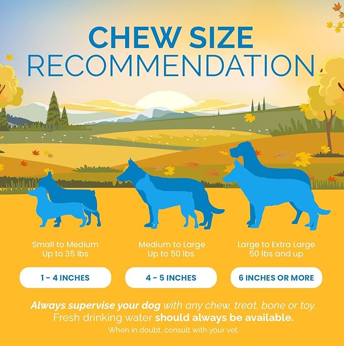 Dog Rawhide Chews Bones for Small Dogs 2-3" Inches (50 Count) 100% Natural USA Made from Natural Grass Fed Cattle | Premium Raw Hides Bulk Treats