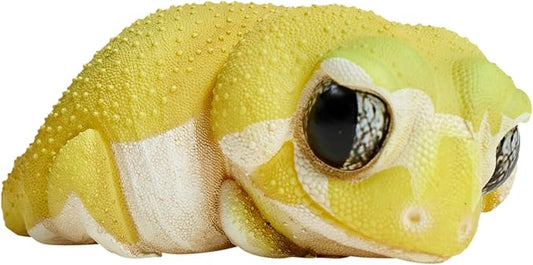 Animal Heavenly Body Series 2 Reptile Chubby Collectible Miniature - Gecko Statue for Home Office, Realistic Sculpture (Nephrurus Levis Pilbarensis - Knob-Tailed Gecko (Patternless))