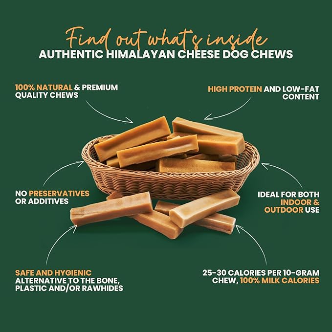 KATHMANDU'S Authentic Yak Cheese Himalayan Dog Chews - All Natural and Protein-Rich Nutrition Dog Treats, Long Lasting Chews for Aggressive Chewers, Odor Free Yak Chew | Small/Medium (Pack of 2)