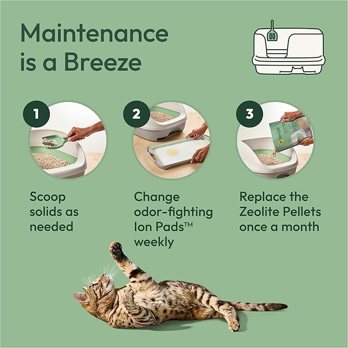 Purina Tidy Cats Non Clumping Litter System, Breeze XL All-in-One Odor Control & Easy Clean Multi Cat Box - 18 lb. Box