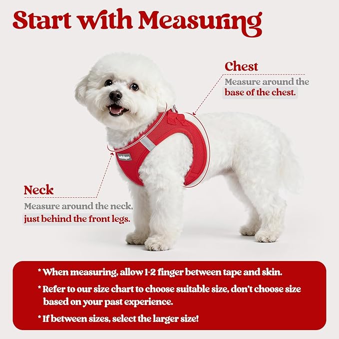 rabbitgoo Dog Harness Small Sized and Leash Set, Step in Soft Light Puppy Vest, Breathable Mesh Pet Harness, Reflective for Safe Easy Walking, Red S