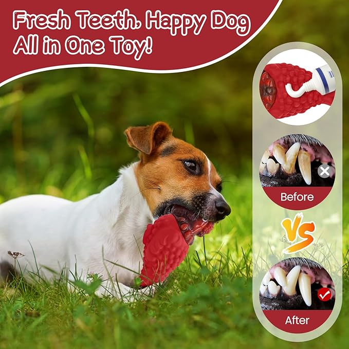 WinTour Dog Chew Toys for Large Breed Aggressive Chewers - Tough, Indestructible Balls with Squeaky - Super Chewer Toys for Large Dogs