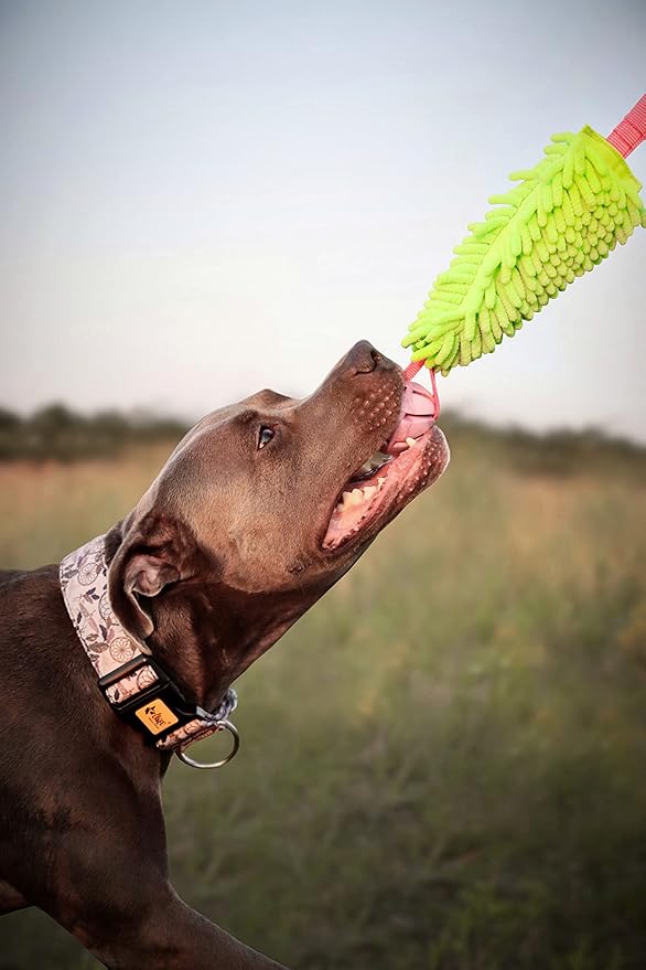 Dingo Dog tug of war toy for outdoor play traning agility,cuddly and shaggy plush tug toy for motivation and fun, soft nubby-textured noodle plush with bungee shock absorber and rubber ball green15589
