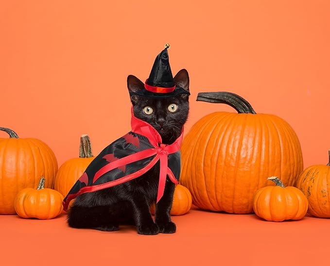 Halloween Cat Costume Cloak Witch Hat Accessories, Adjustable Bat Set, Small Cats Dogs and Other Pets Halloween Parties and Pet Cosplay