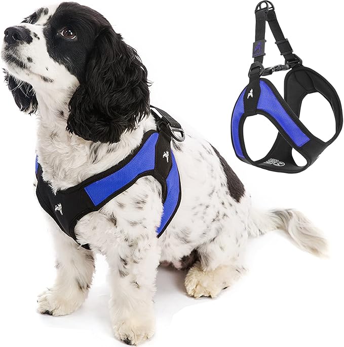 Gooby Escape Free Easy Fit Harness - Blue, X-Small - No Pull Step-in Patented Small Dog Harness with Quick Release Buckle - Perfect On The Go No Pull Harness for Small Dogs or Medium Dog Harness