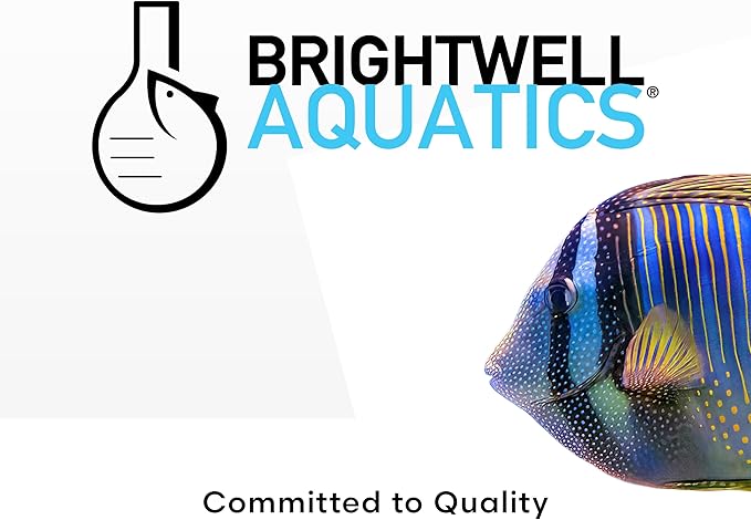 Brightwell Aquatics Reef Blizzard-A – High-Protein Planktonic Blend for Anemones, Planktivorous Fish & Marine Invertebrates – Enhances Color & Growth, 50g