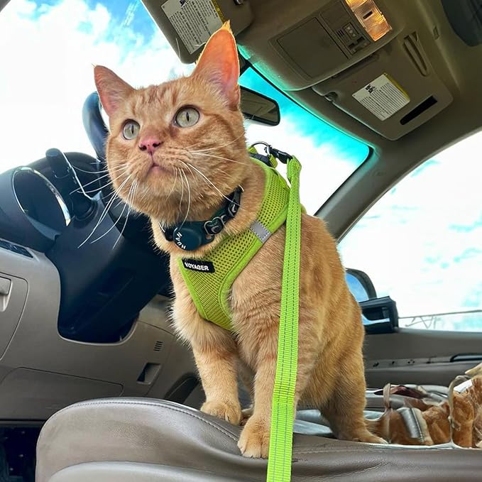 Voyager Step-in Air Cat Harness - All Weather Mesh Step in Vest Harness for Small and Medium Cats by Best Pet Supplies - Set (Lime Green), XXS