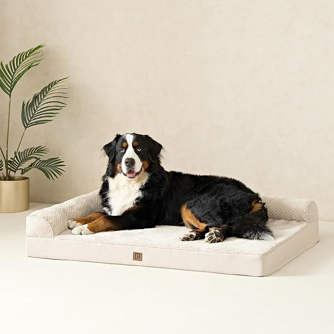 EHEYCIGA Memory Foam Dog Bed XLarge Sized Dogs, Extra Large Dog Bed Orthopedic with Washable Removable Cover, Waterproof XL Pet Bed Couch, 44x33x6 Inches, Beige