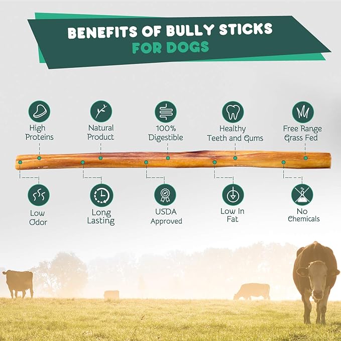 SUPERCAN 6" Bully Sticks for Dogs (10 Pack) – 100% Natural | Long-Lasting Dog Chews | Free-Range, Grass-Fed Beef | High-Protein | Odor-Free | Rawhide Alternative – Healthy Dog Treats