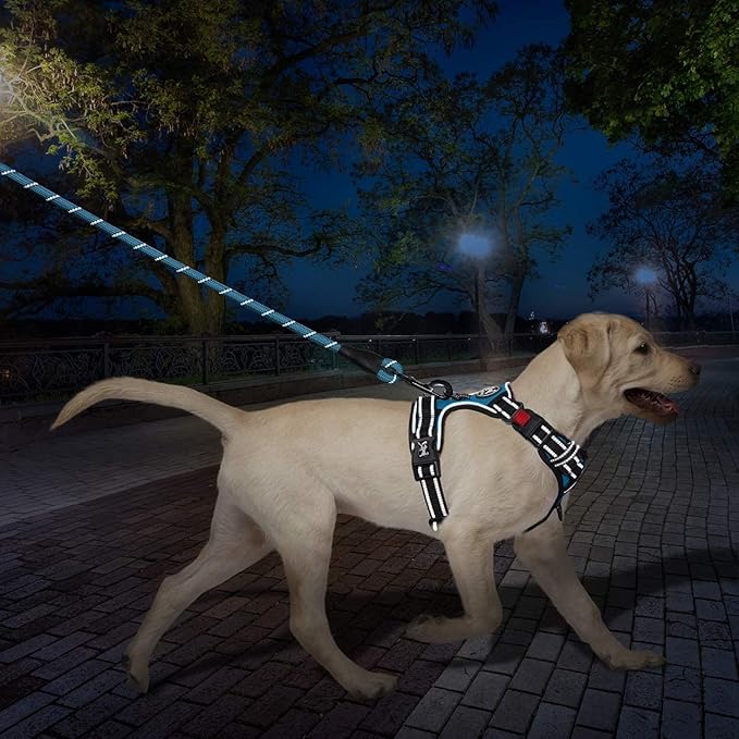 PoyPet Dog Harness and Leash Combo, Escape Proof No Pull Vest Harness, with 5 Feet Leash, Reflective Adjustable Soft Padded Pet Harness with Handle for Small to Large Dogs(Blue,S)