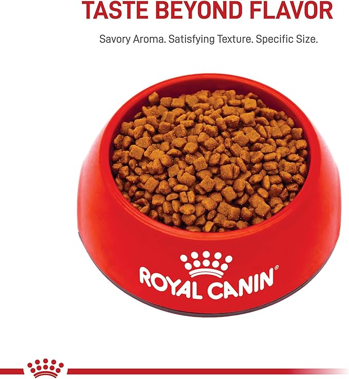 Royal Canin Feline Health Nutrition Mother & Babycat Dry Cat Food for Newborn Kittens and Pregnant or Nursing Cats, 6 lb bag