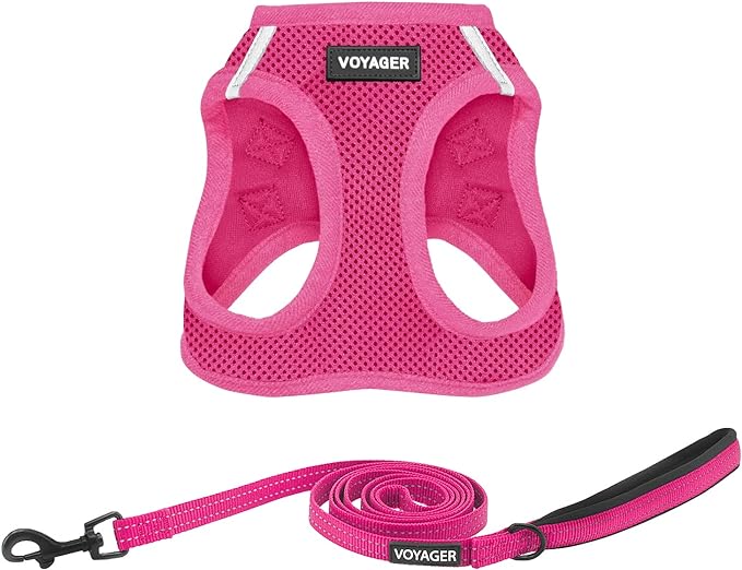 Voyager Step-in Air All Weather Mesh Harness and Reflective Dog 5 ft Leash Combo with Neoprene Handle, for Small, Medium and Large Breed Puppies by Best Pet Supplies - Set (Fuchsia), L