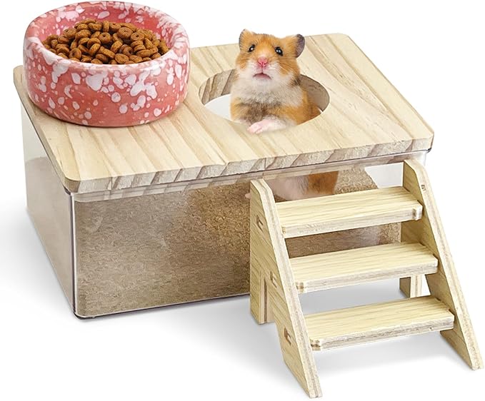kathson Hamster Sand Bath Box Transparent Acrylic Small Syrian Hamster Shower Bathtub Small Gerbil Digging Sand Container with Climbing Ladder and Ceramic Bowl Cage Accessories for Lemmings Mice