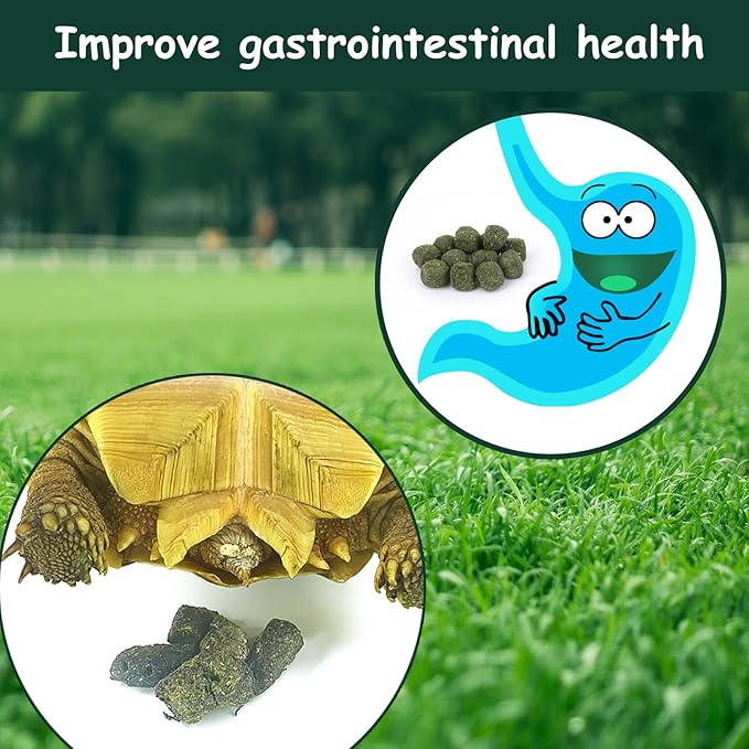 Timothy Hay Cubes 36 oz (6 * 6 oz) -100% Natural Timothy Hay Made Pellets for Rabbits Tortoise Guinea Pig