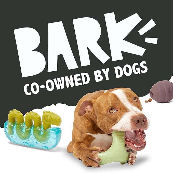 Barkbox Super Chewer Tough Dog Chew Toys for Aggressive Chewers, Dental Stimulating (T Bone - Large)