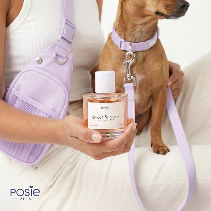 Dog Cologne Spray with Long Lasting Jasmine, Musk, and Vanilla Scent - Vegan Alcohol-Free Pet Deodorizer for Smelly Dogs - Water-Based Luxury Puppy Grooming Fragrance - Sweet Snooze, 100ml