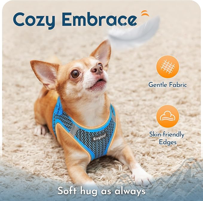 Eagloo Small Dog Harness and Leash Set, Step in Puppy Vest with Breathable Soft Mesh, Walking Reflective Pet Harness for Medium Small Dogs, Blue, L