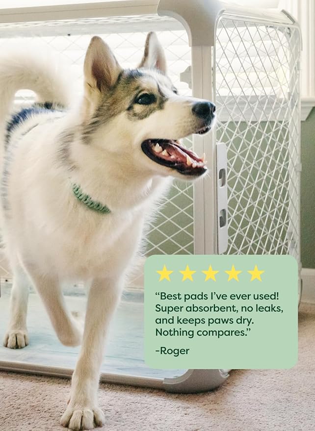 Earth Rated Max Absorbency Puppy Pee Pads for Dogs Absorbs 2X Faster & 2X More, Leak-Proof, Odor Control Potty Training, Unscented, Large, 22” x 23”, 75 Count