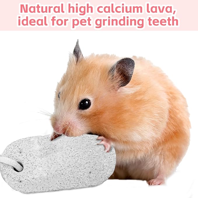 PINVNBY 15 PCS Hamster Lava Blocks, Lava Bites Chew Toys, Mineral Calcium Stone Teeth Grinding Toys for Small Animal Rabbits Guinea Pig Rats Bunny Hamsters Chinchilla