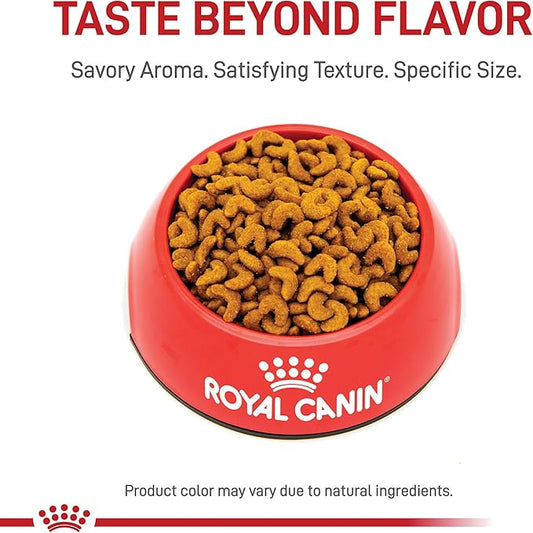 Royal Canin Feline Breed Nutrition American Shorthair Adult Dry Cat Food, 5.5 lb Bag