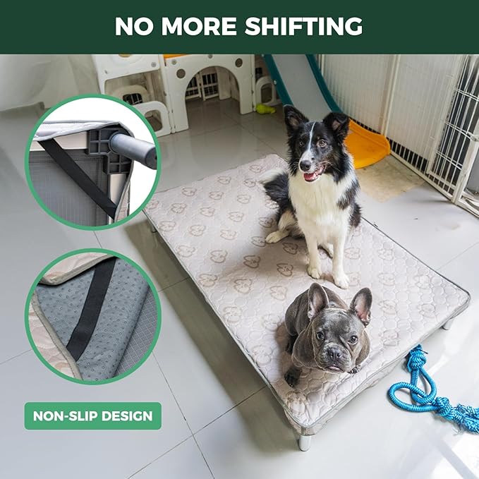FXW TitanNest Chew-Proof Elevated Dog Bed, Raised Cot for Indoor/Outdoor/Camping Use, Durable & Waterproof Cooling Pet Bed with Exclusive Cover for Large Dogs, 50.0" L x 31.0" W x 7.3" H, Black