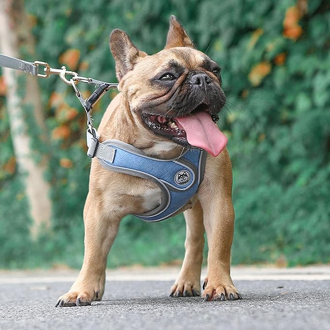 Medium Dog Harness and Leash Set,No Pull Adjustable Step in Soft Mesh Vest Harness,Easy Walk Reflective Pet Harness with Padded Handle for Walking Training Small Medium Large Dogs and Cats (Blue, M)