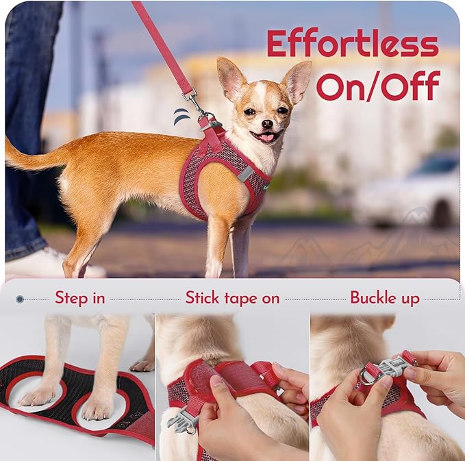 Eagloo Small Dog Harness and Leash Set, Step in Puppy Vest with Breathable Soft Mesh, Walking Reflective Pet Harness for Medium Small Dogs, Red, L