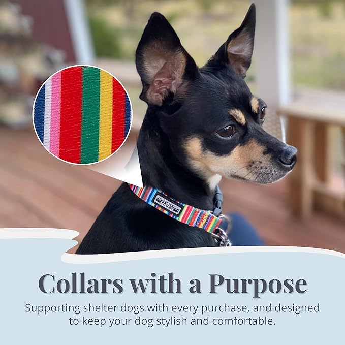 Lucky Love Dog - Adjustable Dog Collar with Easy Click Buckle for Small to Large Ones, Durable, & Comfortable for Male & Female Dogs, Pet Collar for Puppies & Adult Dogs - Hippie, Small