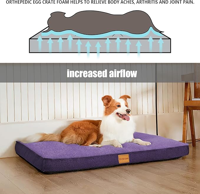 Patas Lague Orthopedic Dog Bed for Small Dogs 20''X15'', Soft Waterproof Egg Crate Foam Small Pet Crate Beds Mat with Removable Washable Cover and Non-Slip Bottom, Purple