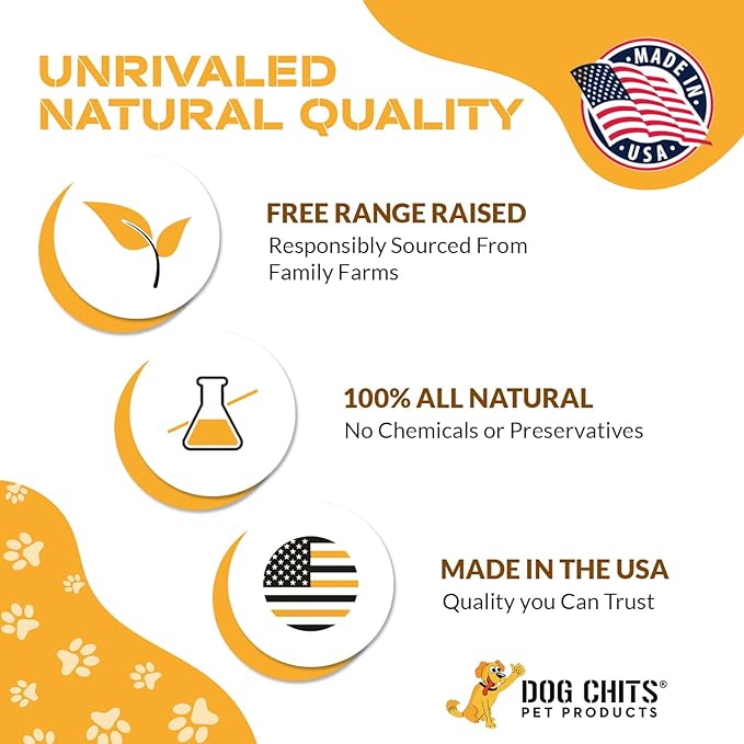 Dog Chits Braided Bully Sticks for Dogs and Puppies | 12-inch, 3 Pack | Natural Healthy Long Lasting Chew for Large and Small Dogs Protein Treats | Odor Free