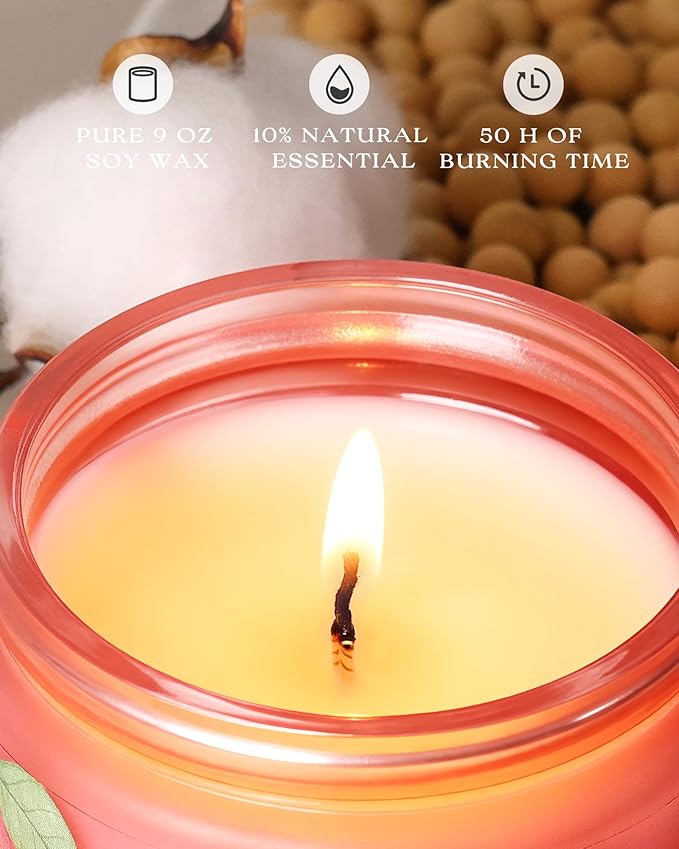 AOOVOO Pet Odor Eliminator Candle - Apple Orchard Odor Eliminating Candle, Highly Fragranced Air Freshing Scented Candles, Natural Soy Wax, 9 oz
