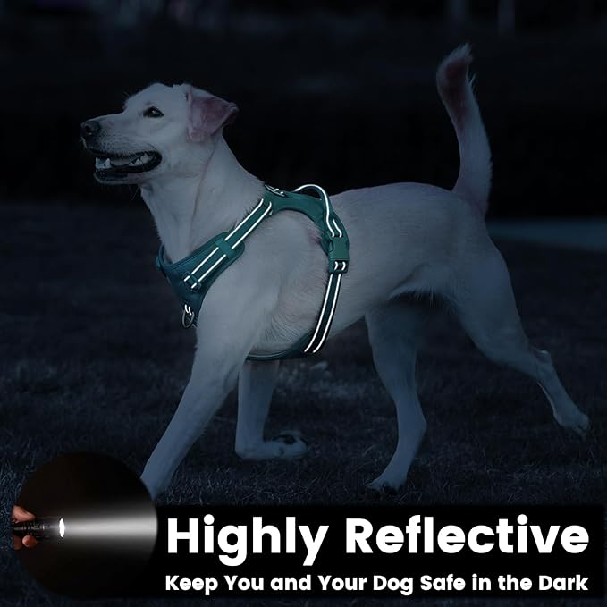 No Pull Dog Harness, Reflective Puppy Vest for Small Medium Large Sized Dog(MARRS Green,M)
