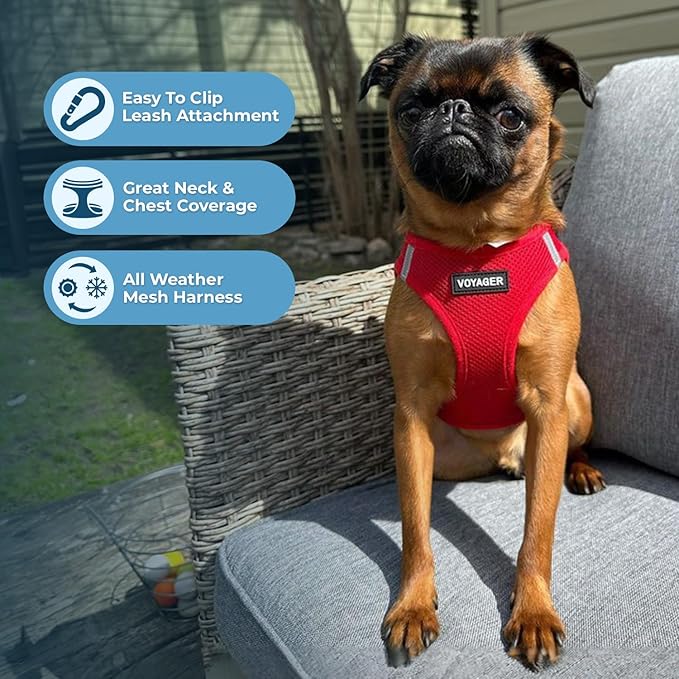 Voyager Step-in Air All Weather Mesh Harness and Reflective Dog 5 ft Leash Combo with Neoprene Handle, for Small, Medium and Large Breed Puppies by Best Pet Supplies - Set (Red), M (Chest: 16-18")
