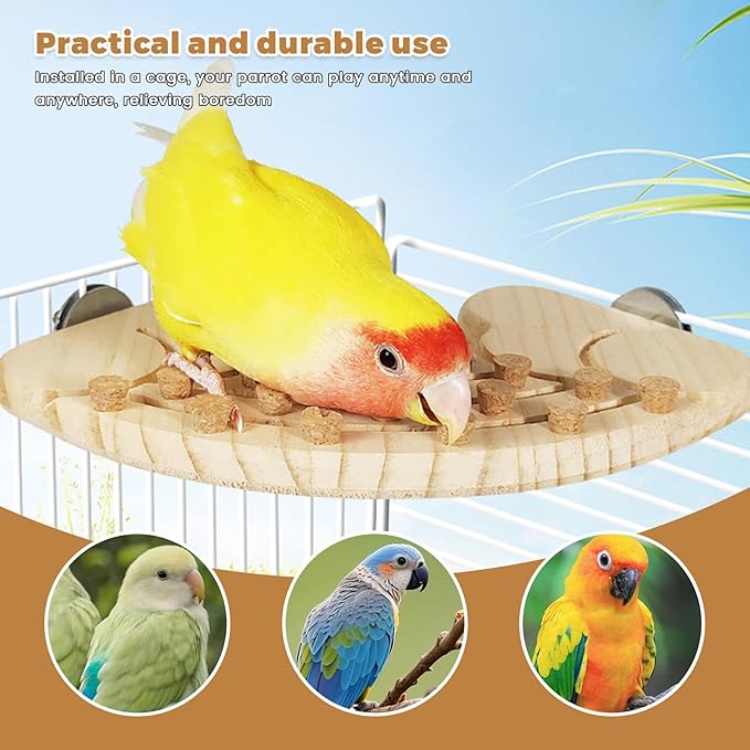 Bird Chew Toy with Screw Mount – Wooden Foraging Toy for Parrots, Cockatiels, Conures, Budgies, Finches, Small to Medium Birds, Secure Cage Attachment, Safe and Durable Design (Rainbow)