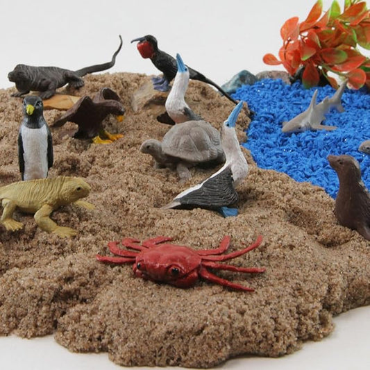 Safari Ltd. Galapagos Wildlife TOOB - Figurines of Seal, Blue-Footed Booby, Tortoise & More - Fun Educational Play Toy for Boys, Girls & Kids Ages 3+