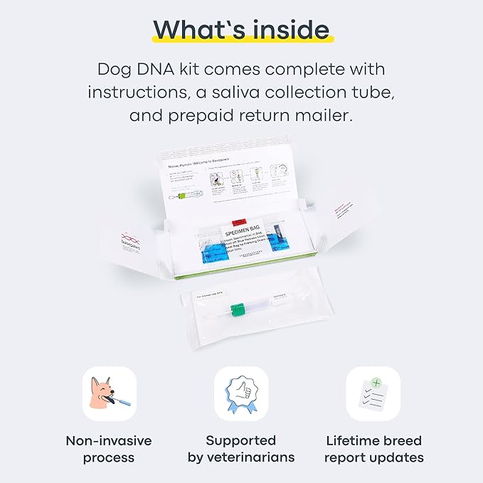 Basepaws Dog DNA Test Kit 2 Pack - 330+ Breeds, 280+ Health Risks, and 30+ Traits - Comprehensive Mixed Breed Identification, Pet DNA Test kit, Canine Genetic Ancestry and Heritage