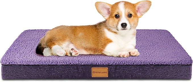 Patas Lague Orthopedic Dog Bed for Small Dogs 20''X15'', Soft Waterproof Egg Crate Foam Small Pet Crate Beds Mat with Removable Washable Cover and Non-Slip Bottom, Purple