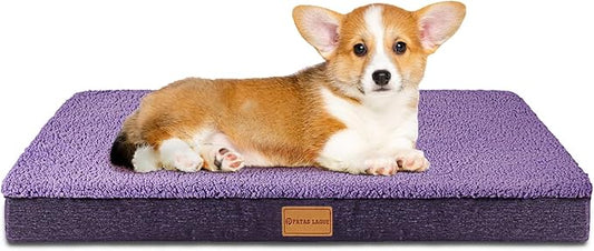 Patas Lague Orthopedic Dog Bed for Small Dogs 20''X15'', Soft Waterproof Egg Crate Foam Small Pet Crate Beds Mat with Removable Washable Cover and Non-Slip Bottom, Purple