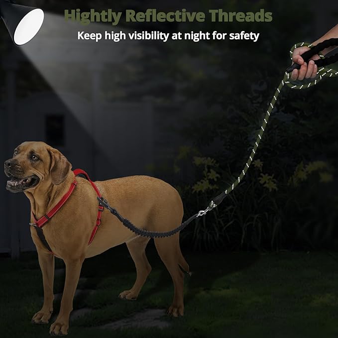 jenico Rope Dog Leash 6FT: Heavy Duty Nylon Leashes with Swivel Lockable Hook Reflective Threads Bungee and Padded Handle - Dog Lead for Large Small Medium Dogs Outside Walking Hiking