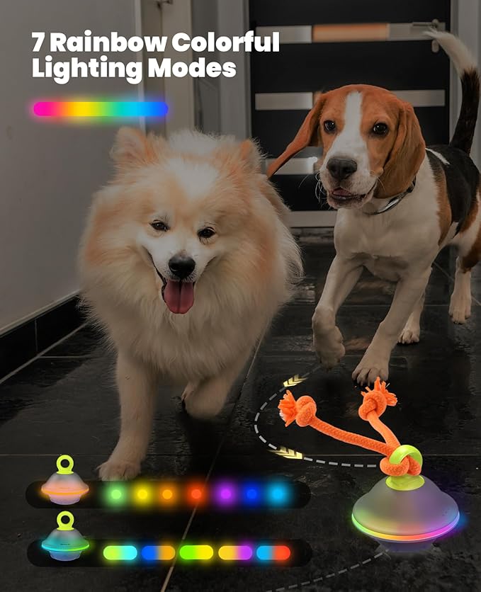 Interactive Dog Toys, Automatic Moving and Rolling Dogs Ball with Rope, Motion-Activated Wicked Ball with Voice Recording for Small Medium Pup, Stimulation Toy for Boredom Relief Blue