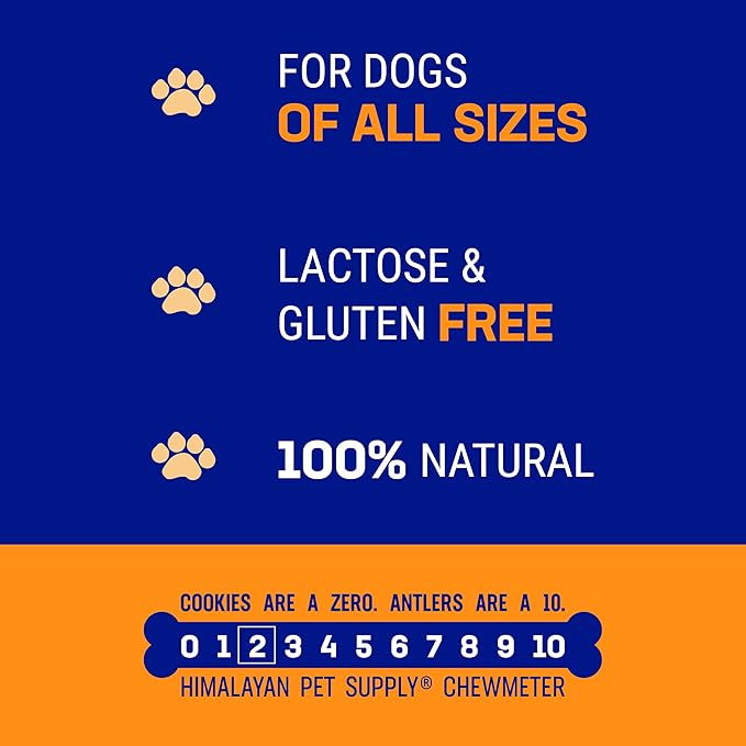 Himalayan Dog Chew Happy Teeth Yak Cheese, Soft Dog Chews, 100% Natural Soft Density Dental Treats, Gluten Free, Safe Treats for Oral Health, Lactose & Grain Free, Protein Rich, (Flavor) 2 Count