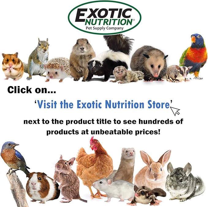Nectar Pods (Melon) - Calcium-Fortified Jelly Fruit Treat - Sugar Gliders, Marmosets, Squirrels, Parrots, Cockatiels, Parakeets, Lovebirds, Conures, Hamsters, Day Geckos, Kinkajous & Other Small Pets