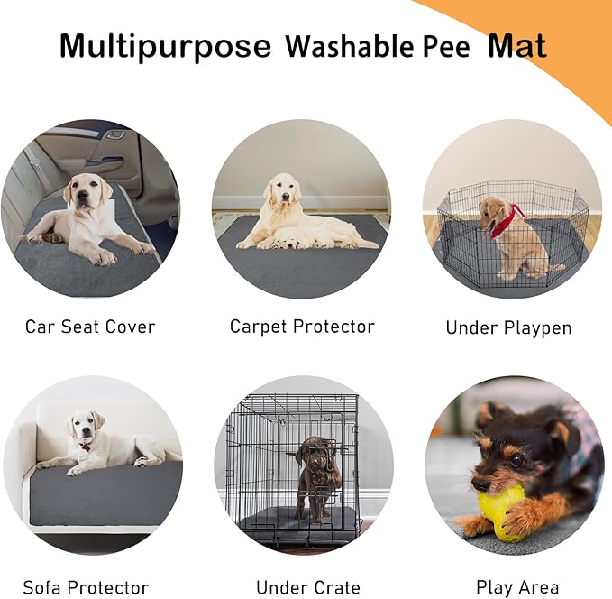 LOOBANI 2 Packs Extra Large Reusable Dog Mat for Floor, Non-Slip Washable Pee Pads for Dogs, Fast Absorbent Pet Whelping Pads, Puppy Playpen Mat for Incontinence, Housebreak, Crate, 72x72in, Mix