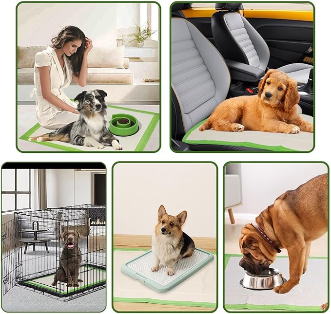 Gardner Pet Dog Pee Pads Extra Large 28"x34", XL Thicker ECO Green Disposable Puppy Training Pads Super Absorbent Full Edge-Wrapping Pad for Dogs, Puppies, Cats, Rabbits (100 Count)