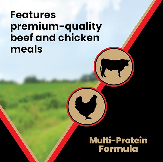 VICTOR Super Premium Dog Food – High Energy Dry Dog Food for Active Dogs – Gluten Free Canine Kibble with Beef and Chicken Meal Proteins for Sporting Dogs – All Breeds and All Life Stages, 15 lb