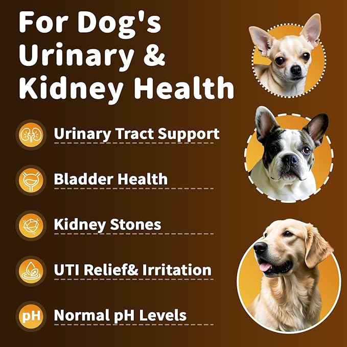 (2 Pack) Poppaw Dog UTI Treatment & Urinary Tract Support, High Cranberry Extract, 9-in-1 Natural Herbal, Vitamin B6 for Urine pH Balance, Bladder & Kidney Function, Bacon Flavor, 2 OZ