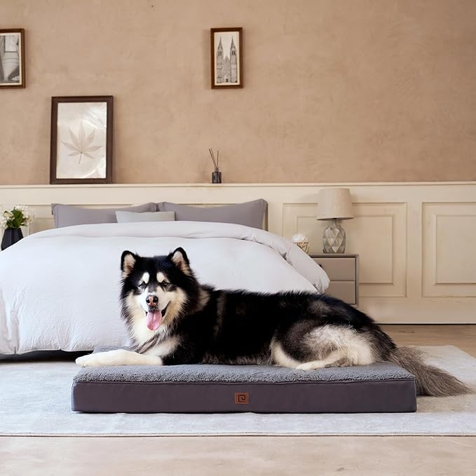 EHEYCIGA Washable Dog Beds for Large Dogs, Big Orthopedic Large Dog Bed with Removable Cover, Durable Pet Bed Dog Mat Mattress Cushion, Grey(36 x 27)