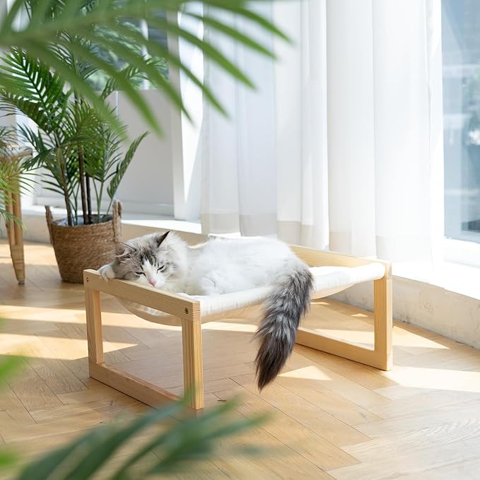 FUKUMARU Cat Bed with Removable Cover, Plush Velvet Couch for Indoor Cats, Wooden Feline Hammock, 21 x 16.5 Inch Kitten Sofa, Suitable for Kitty, Dog, Bunny and Small Animal, White