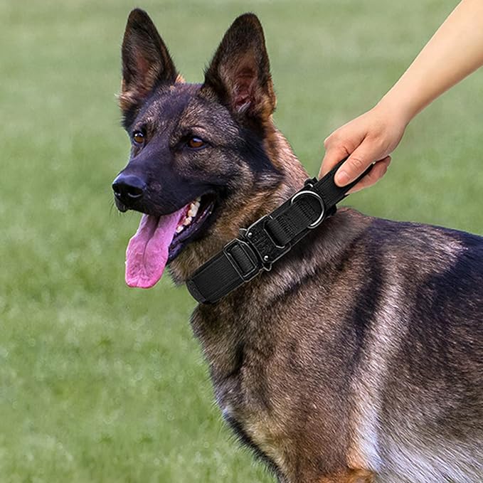 Tactical Dog Collar and Leash Set Heavy Duty Military Dog Collar with Handle and Metal Buckle for Medium and Large Dogs (Black, M)